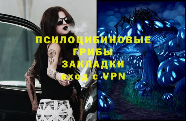 a pvp Богородицк