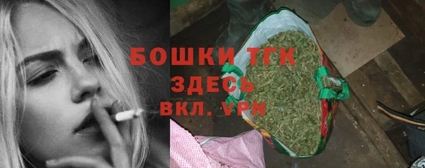 spice Богородск