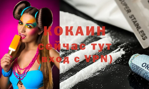 spice Богородск